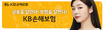 KB손해보험